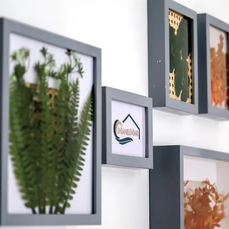 Apartman Manelmar Nazaré